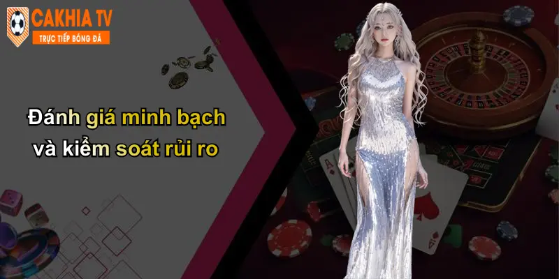 Trang chủ 70 Đánh giá minh bạch và kiểm soát rủi ro