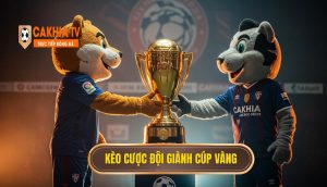 Kèo cược đội giành cúp vàng