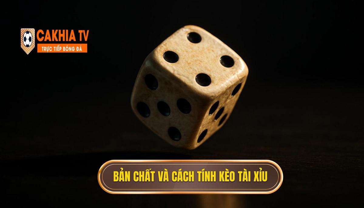 Bản Chất Và Cách Tính Của Kèo Tài Xỉu 2.75 Hiệp 1