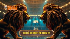 Lịch sử đối đầu 2 đội